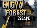 खेल Enigma Forest Escape