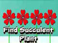खेल Find Succulent Plant