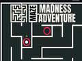 ગેમ Maze Madness Adventure