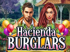 ગેમ Hacienda Burglars