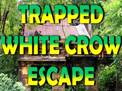 ગેમ Trapped White Crow Escape