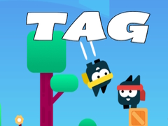 खेल Tag