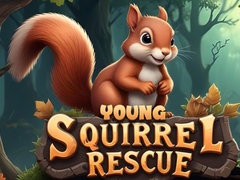 खेल Young Squirrel Rescue