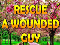 खेल Rescue A Wounded Guy