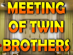 खेल Wow Meeting of Twin Brothers