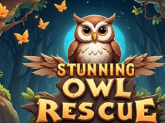 खेल Stunning Owl Rescue