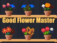 खेल Good Flower Master