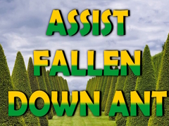 खेल  Assist Fallen Down Ant