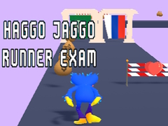 खेल Haggo Jaggo Runner exam