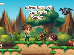 खेल Adventure of Carter's Realm