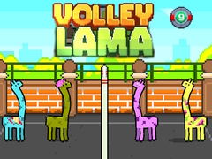 खेल Volley Lama