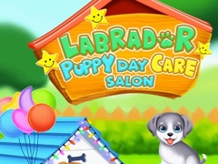 खेल Labrador Puppy Daycare Salon