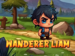 खेल Wanderer Liam