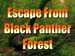 खेल Escape from Black Panther Forest