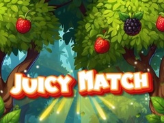 खेल Juicy Match