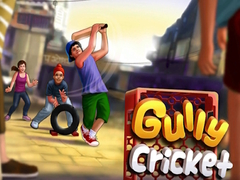 खेल Gully Cricket