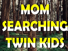 खेल Mom Searching Twin Kids