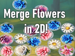 खेल Merge Flowers in 2D!