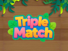 खेल Triple Matched