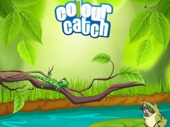 खेल Colour Catch