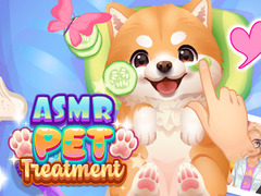 खेल ASMR Pet Treatment