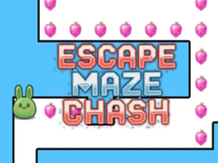 खेल Escape Maze Chush