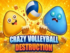 खेल Crazy Volleyball Destruction