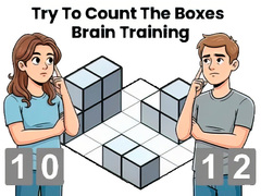 खेल Try To Count The Boxes Brain Training