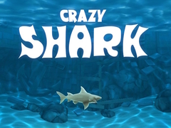 खेल Crazy Shark