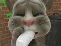 खेल Talking Tom Cat