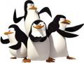 मेडागास्कर खेल के पेंगुइन 