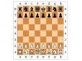शतरंज का खेल 